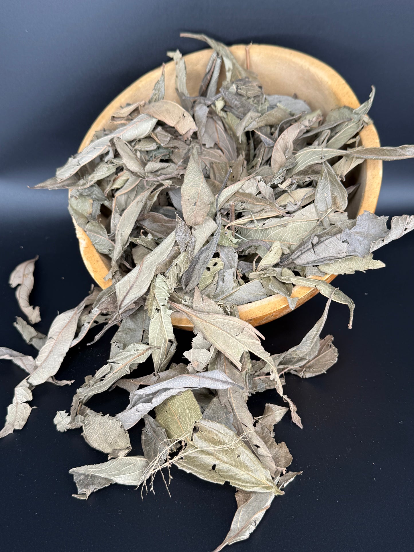 Gambia tea/ feuilles de gambie