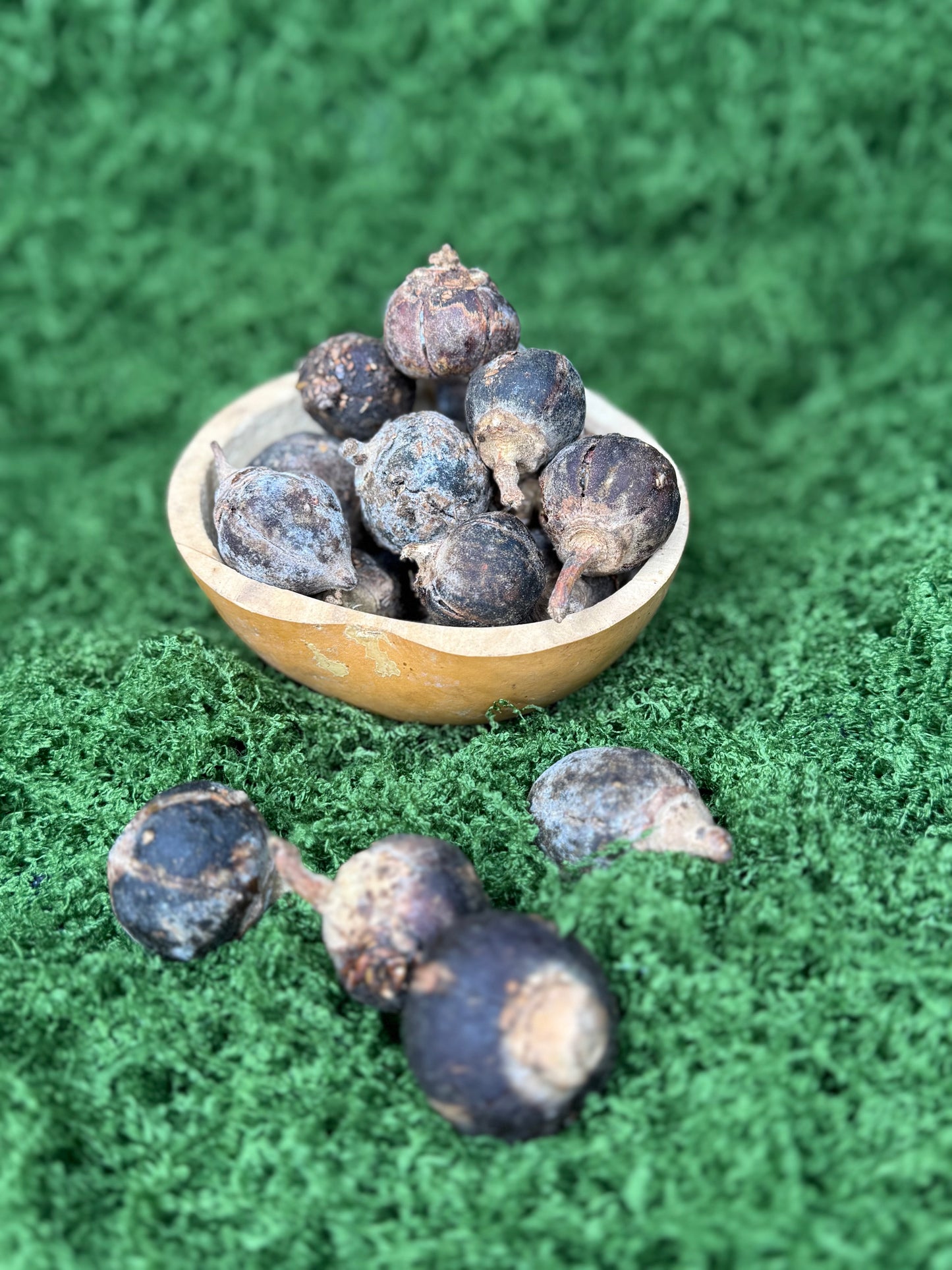 Gorontula fruits / fruit De gorontula