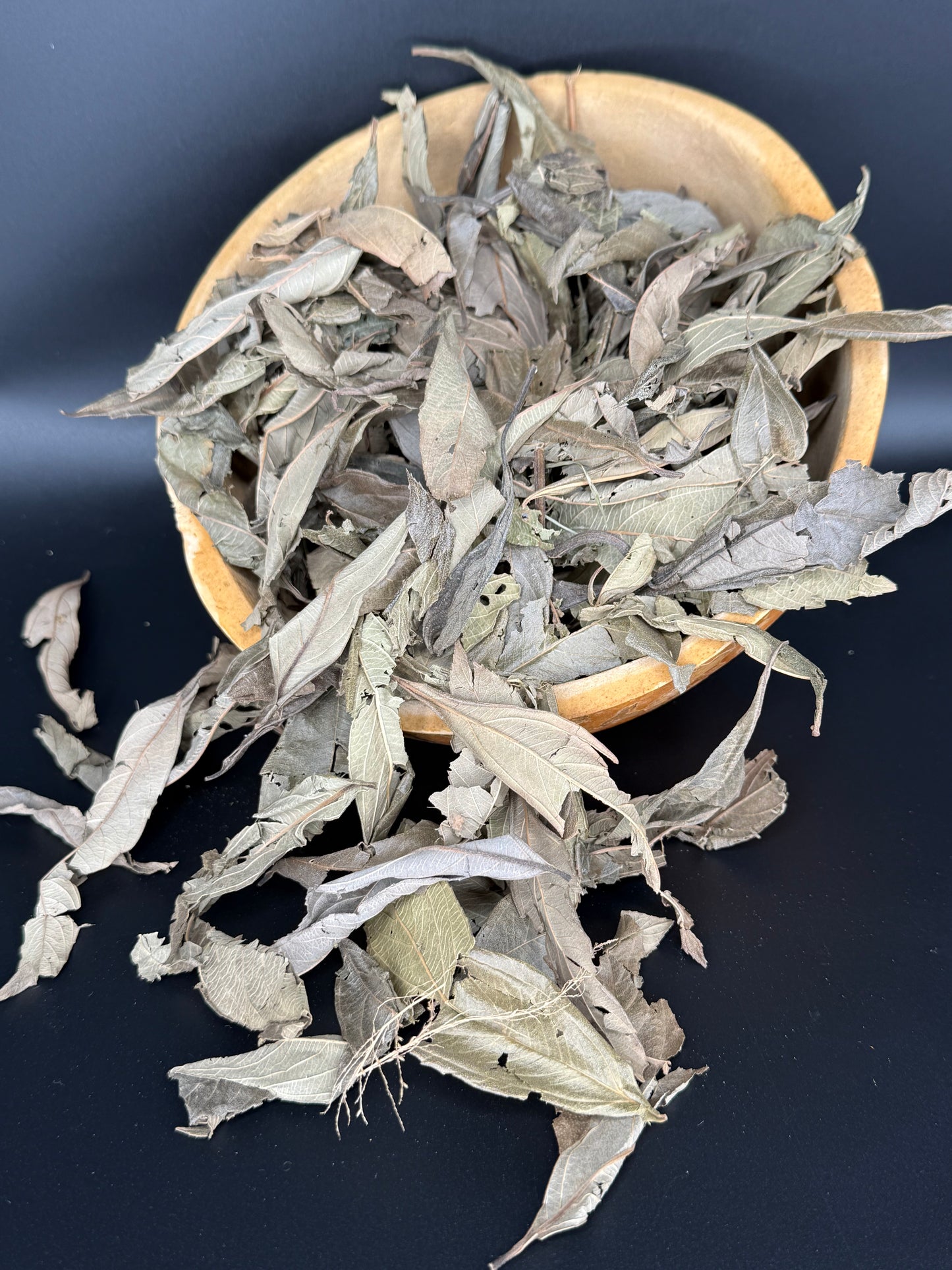 Gambia tea/ feuilles de gambie