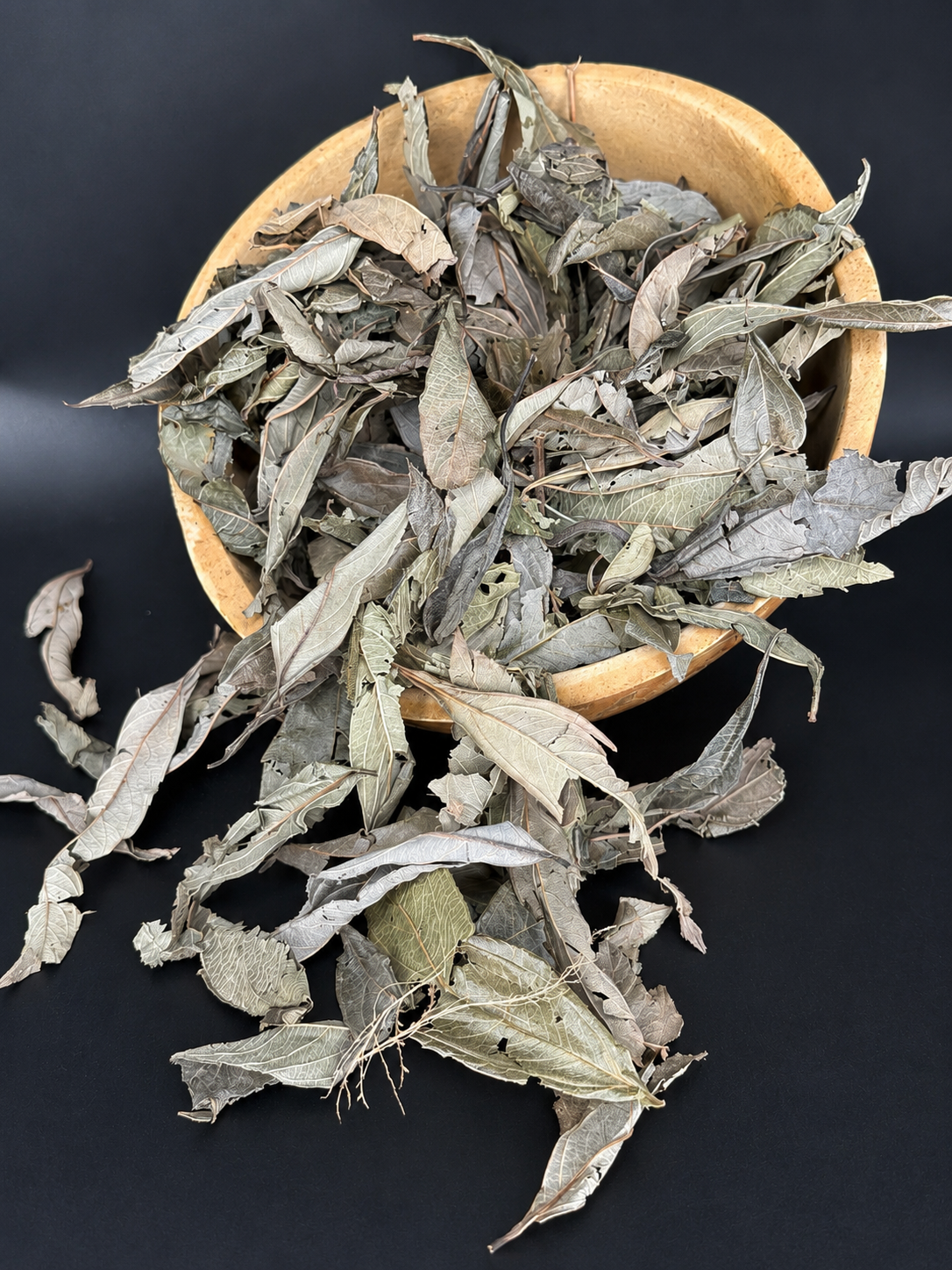 Gambia tea/ feuilles de gambie