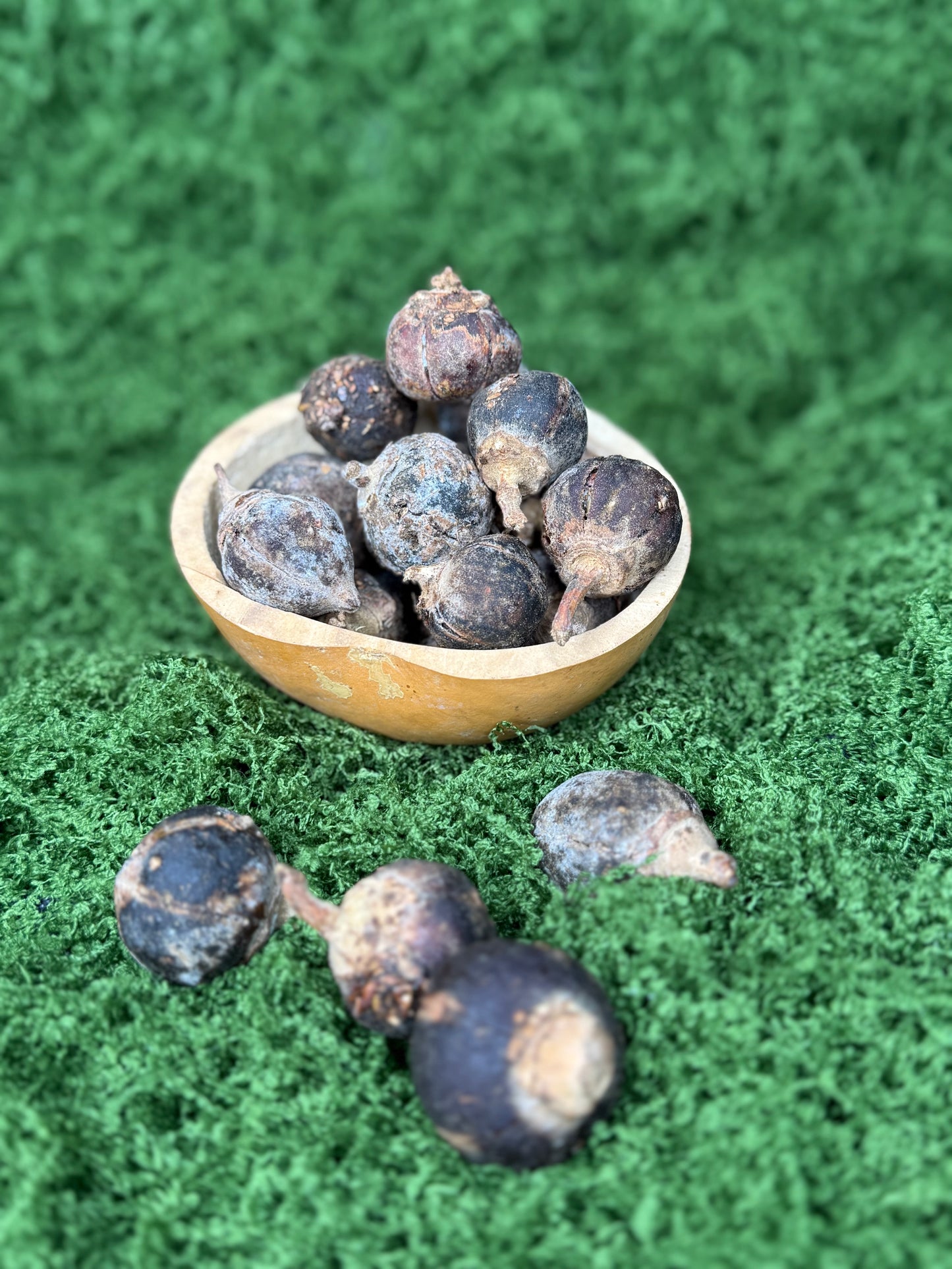 Gorontula fruits / fruit De gorontula