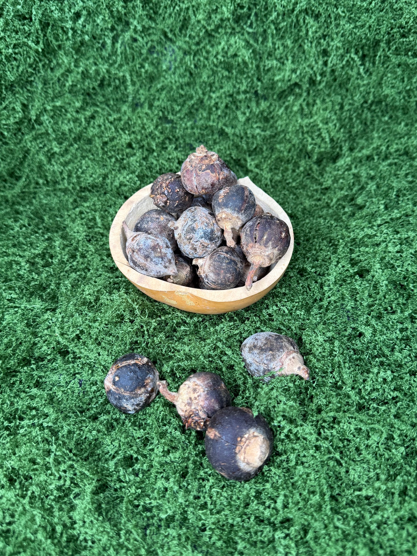 Gorontula fruits / fruit De gorontula