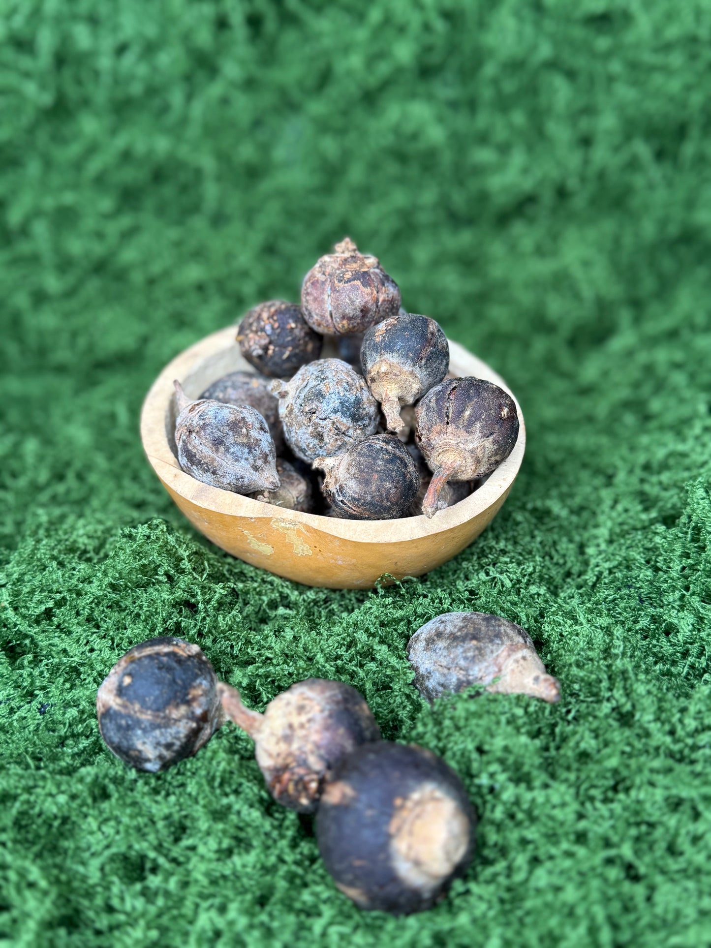 Gorontula fruits / fruit De gorontula
