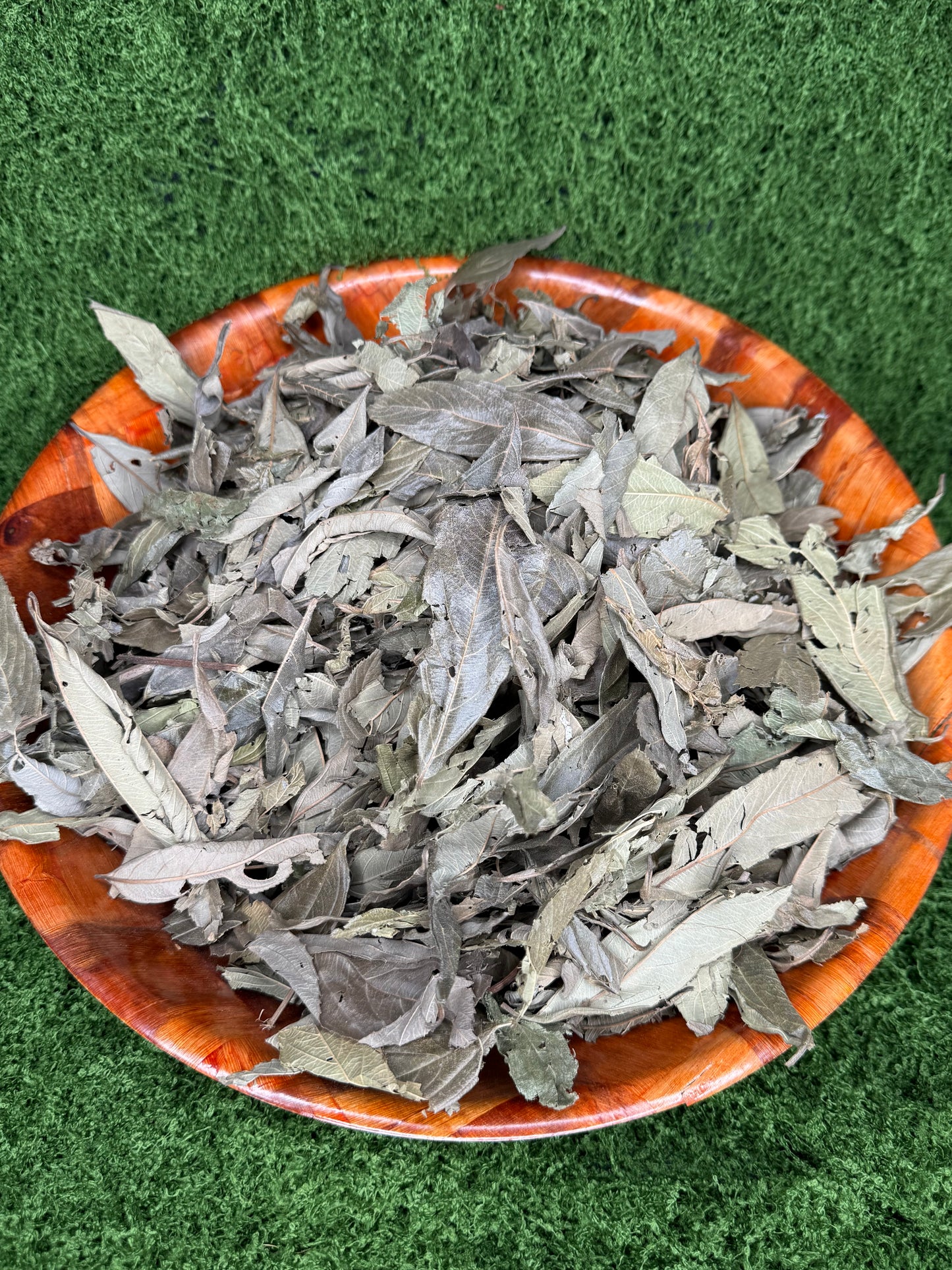 Gambia tea/ feuilles de gambie