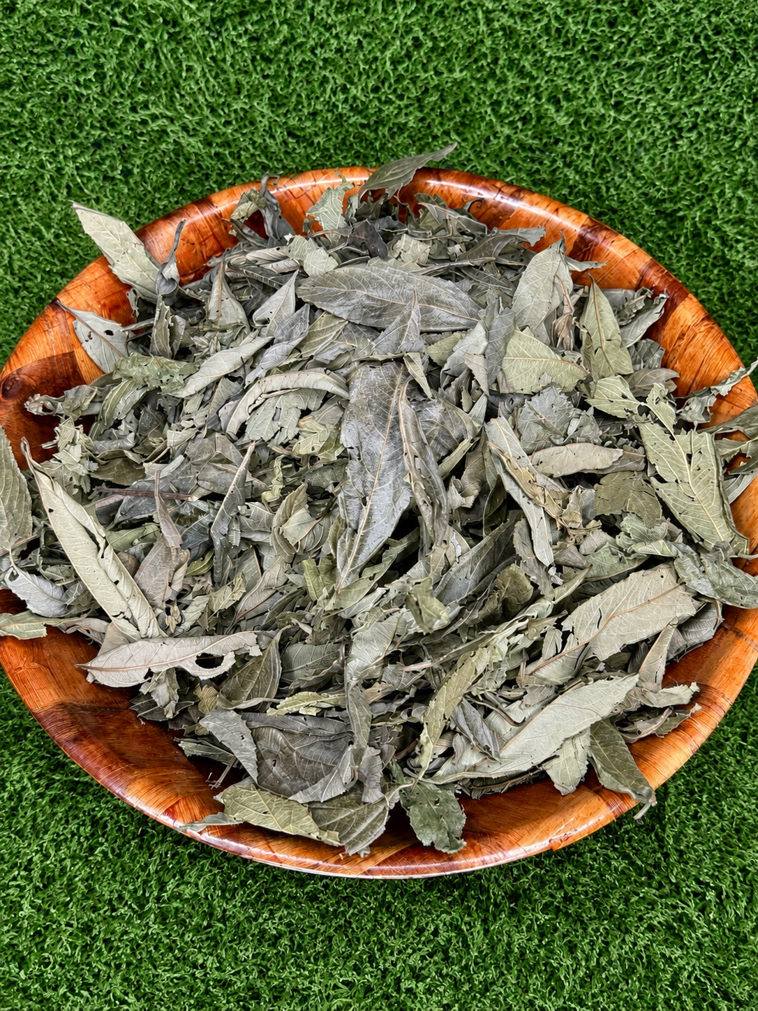 Gambia tea/ feuilles de gambie
